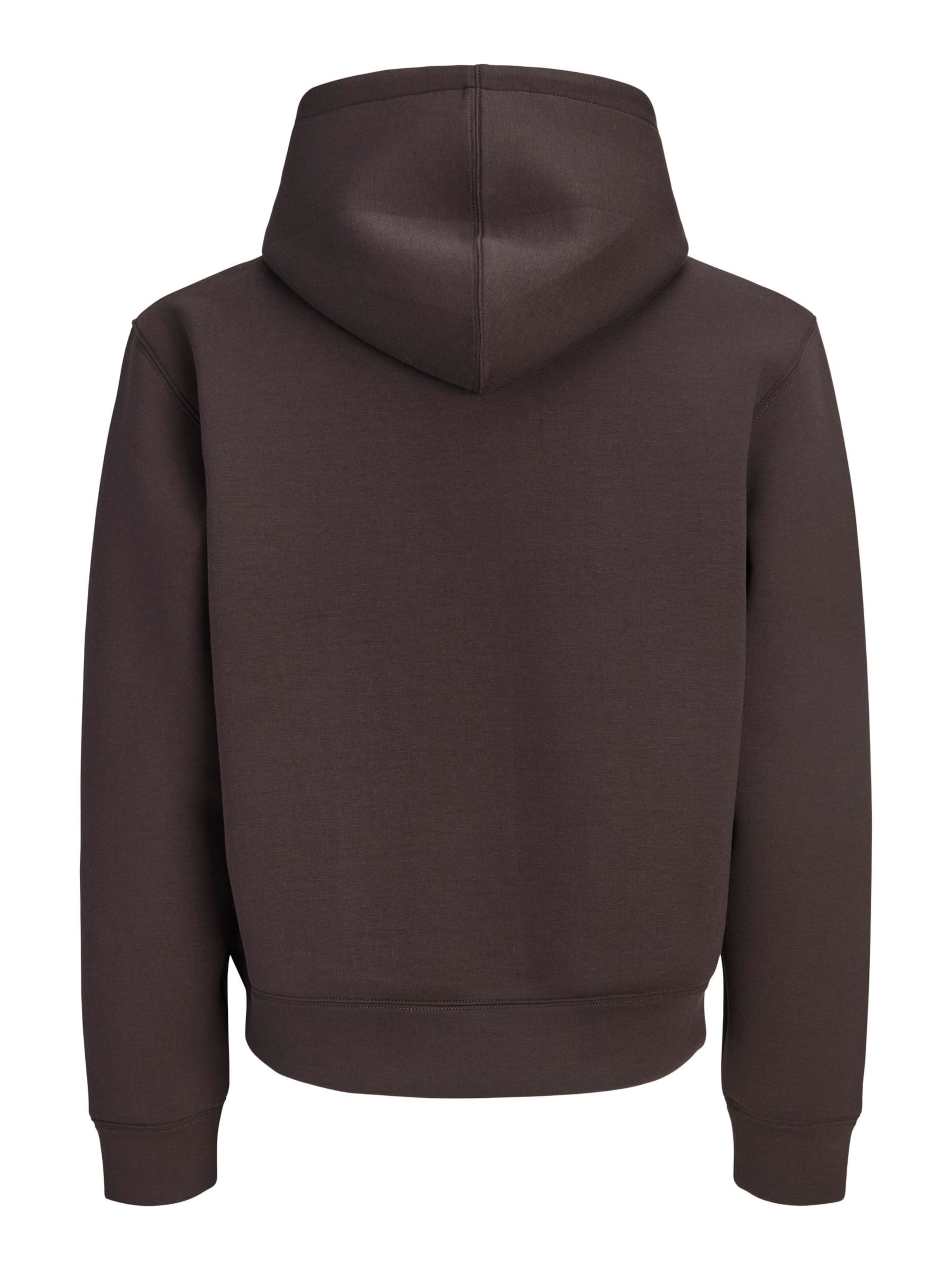 JACK & JONES Sweatshirt 'JCOLEGACY' in Brown