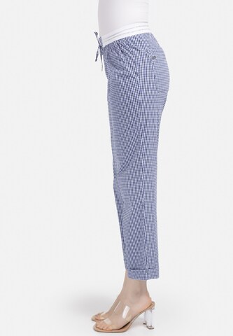 HELMIDGE Loose fit Pants in Blue