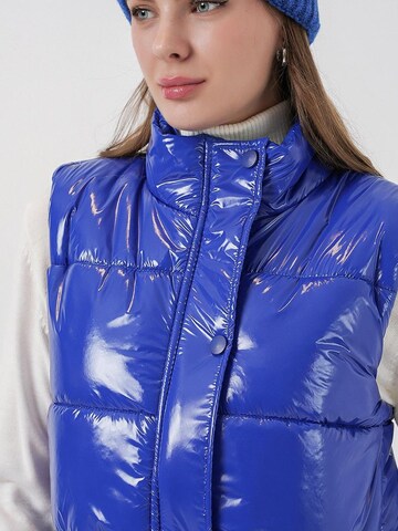 Gilet Bigdart en bleu