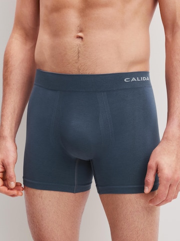 CALIDA Boxershorts 'Seamless Natural' in Blau