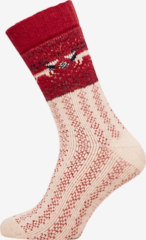 HomeOfSocks Socks 'HOS453' in White: front