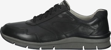 Pius Gabor Sneakers in Black