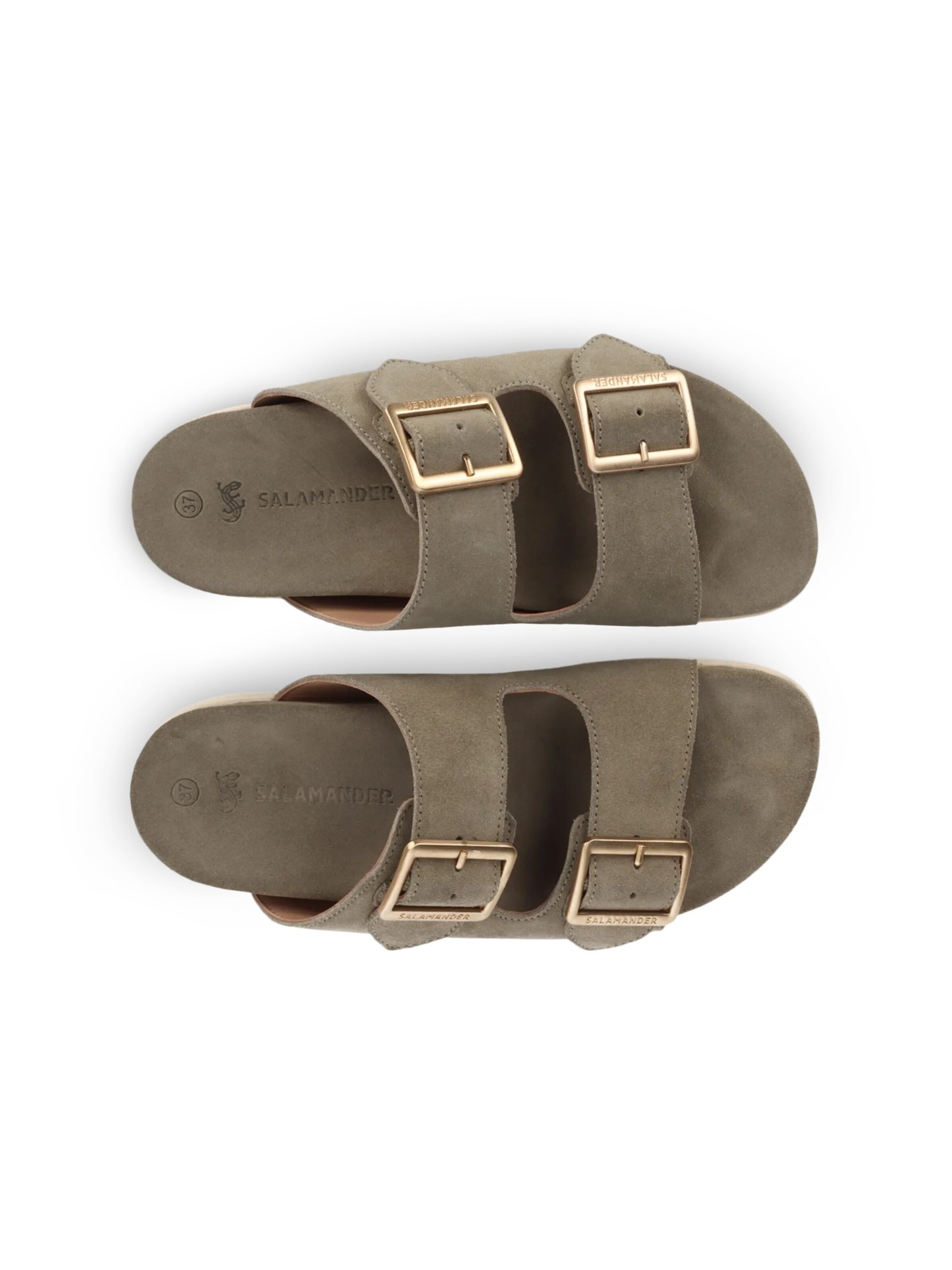 SALAMANDER Pantoletter i grøn