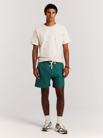 PROTEST Regular Pants 'PRTGraig' in Green