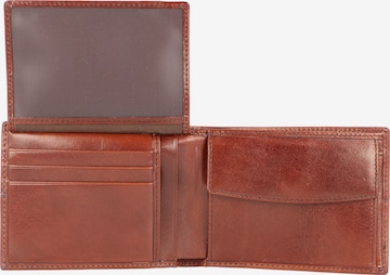 The Bridge Wallet 'Vespucci' in Brown