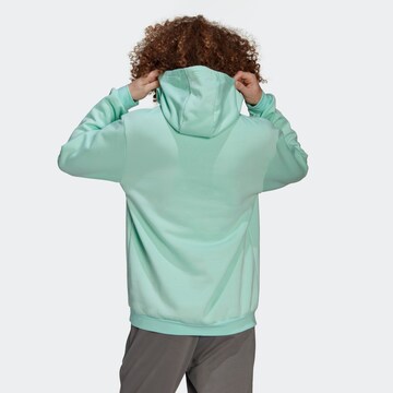 ADIDAS SPORTSWEAR Athletic Sweatshirt 'Entrada 22' in Green