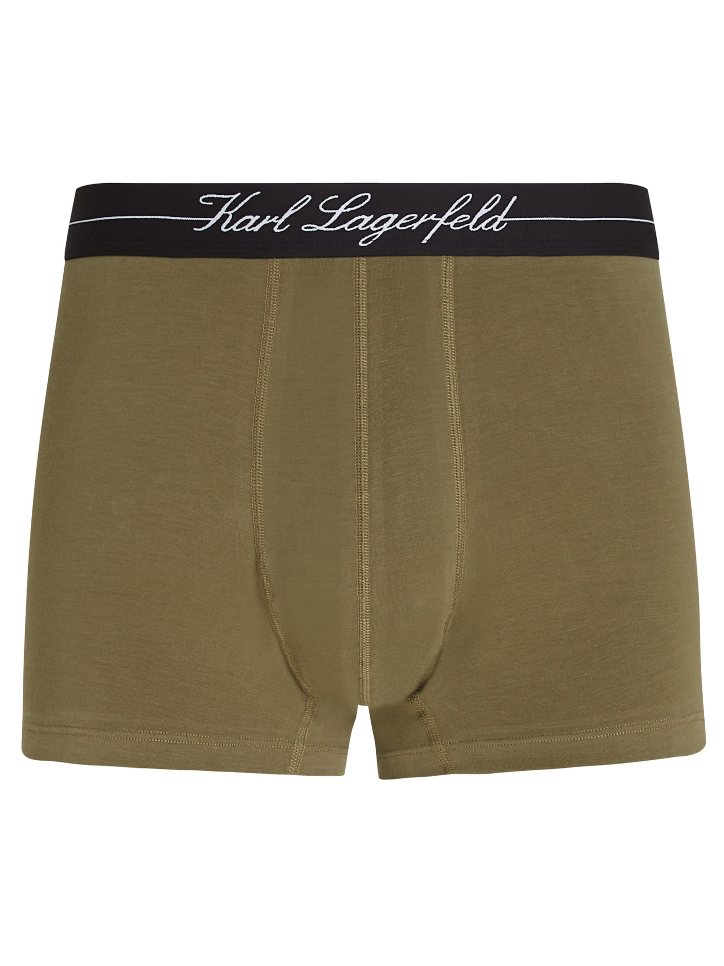 Karl Lagerfeld Boxer shorts in Green: front