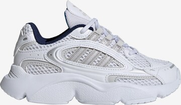 Baskets ADIDAS ORIGINALS en blanc