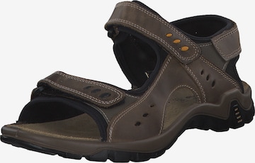 IMAC Sandale in Braun: Vorderseite