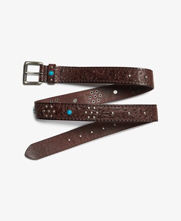 Superdry & Co Belt in Brown