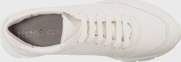 GEOX Sneakers 'Sukie' in White