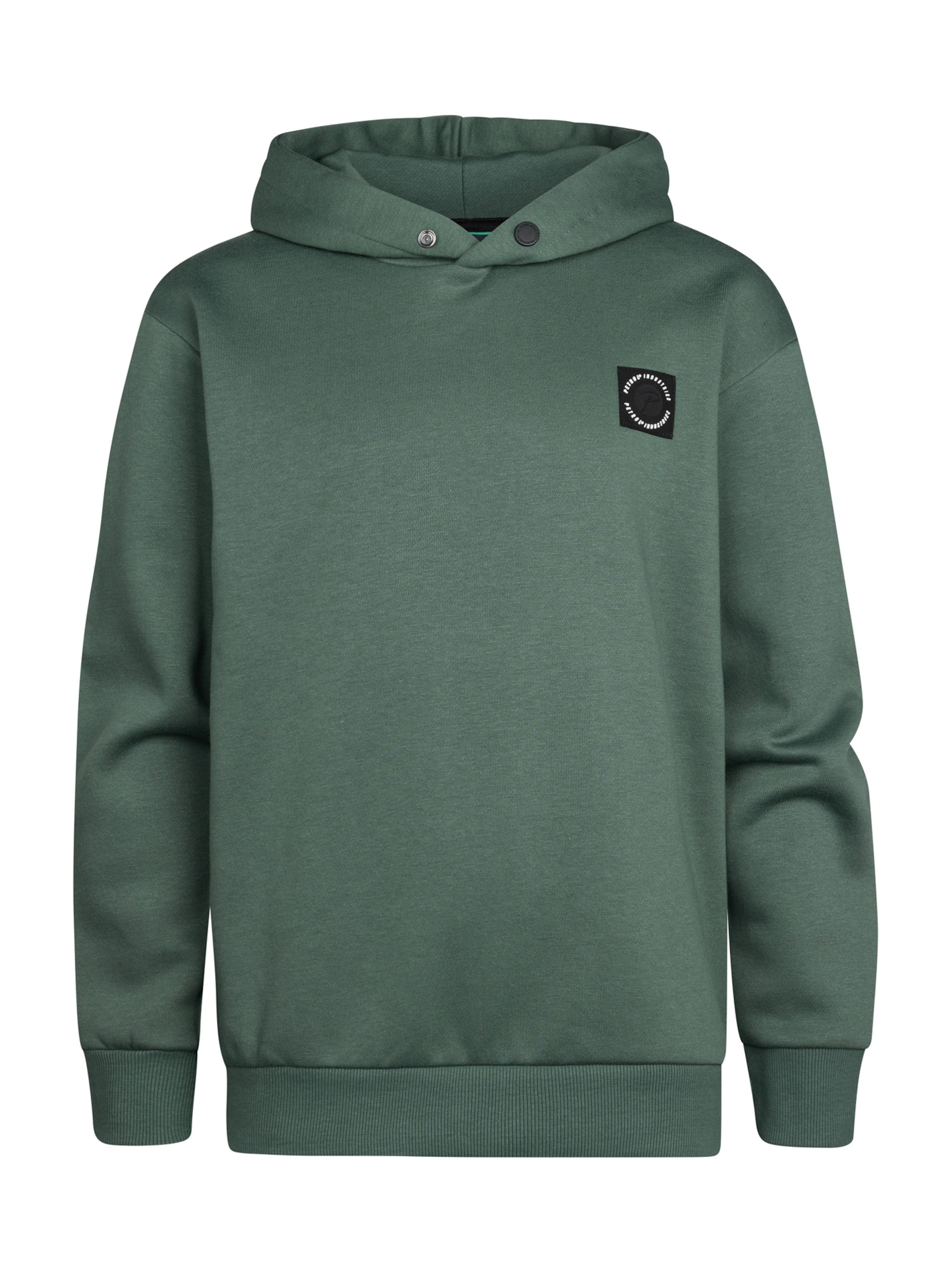 Petrol Industries Sweatshirt 'Ozark' in Groen: voorkant
