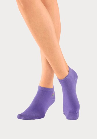 H.I.S Socks 'LBG' in Blue