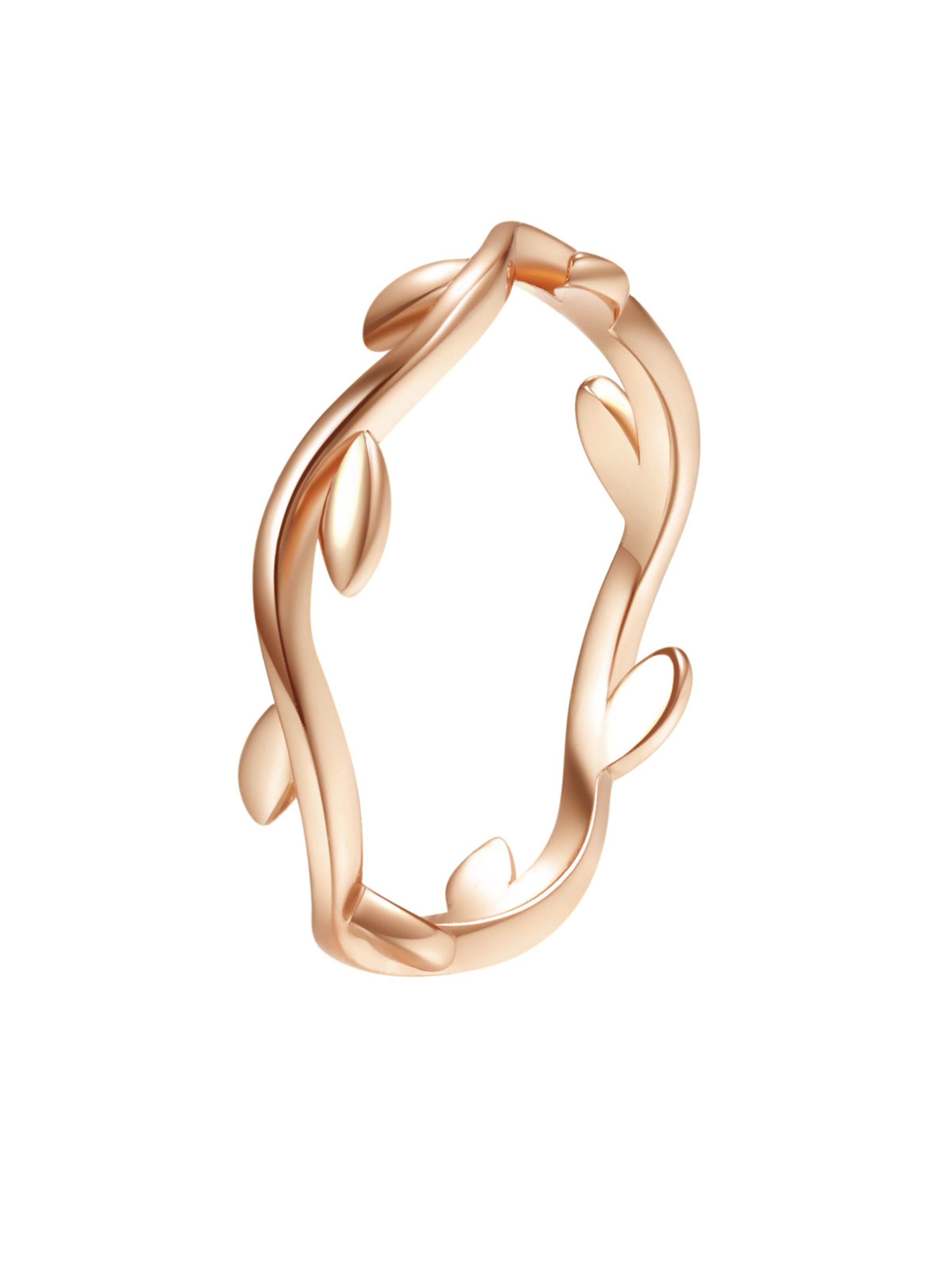 Hey Happiness Ring 'Laurel' in Gold