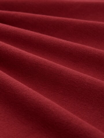 TOM TAILOR Sweatshirt in Red