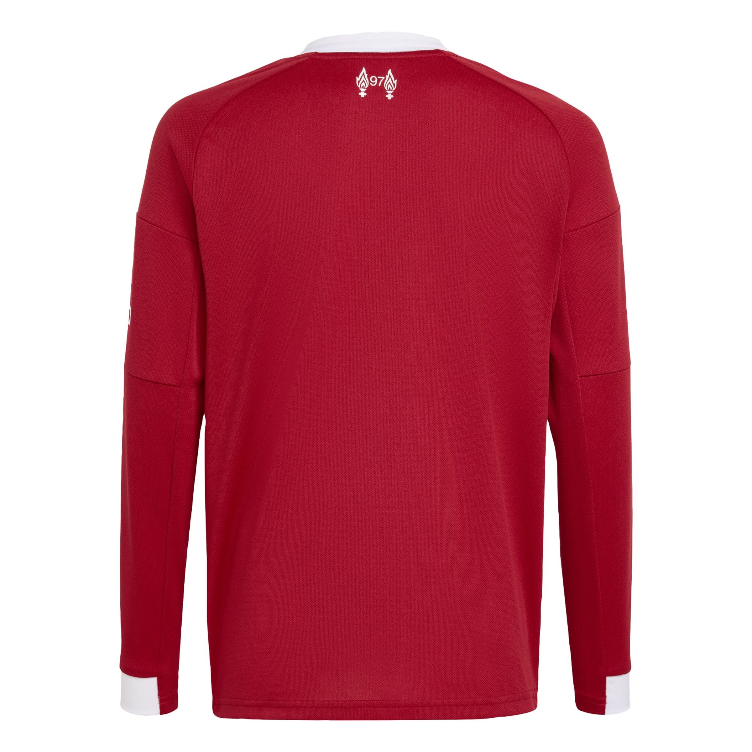 ADIDAS PERFORMANCE - Camiseta funcional 'FC Liverpool 25/26' en rojo