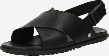 juoda UGG Sandalai: priekis