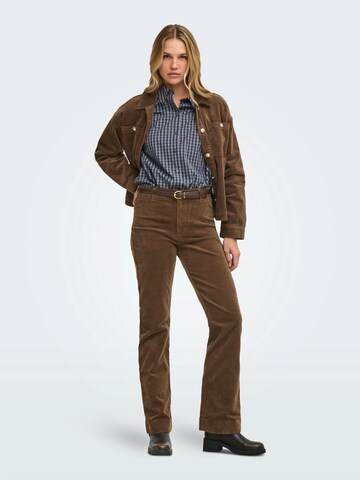 JDY Bootcut Hlače 'JDYCOURTNEY' | rjava barva: sprednja stran