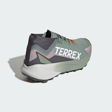 Chaussure basse 'Agravic' ADIDAS TERREX en vert