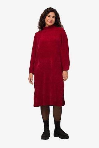 Ulla Popken Gebreide jurk in Rood: voorkant