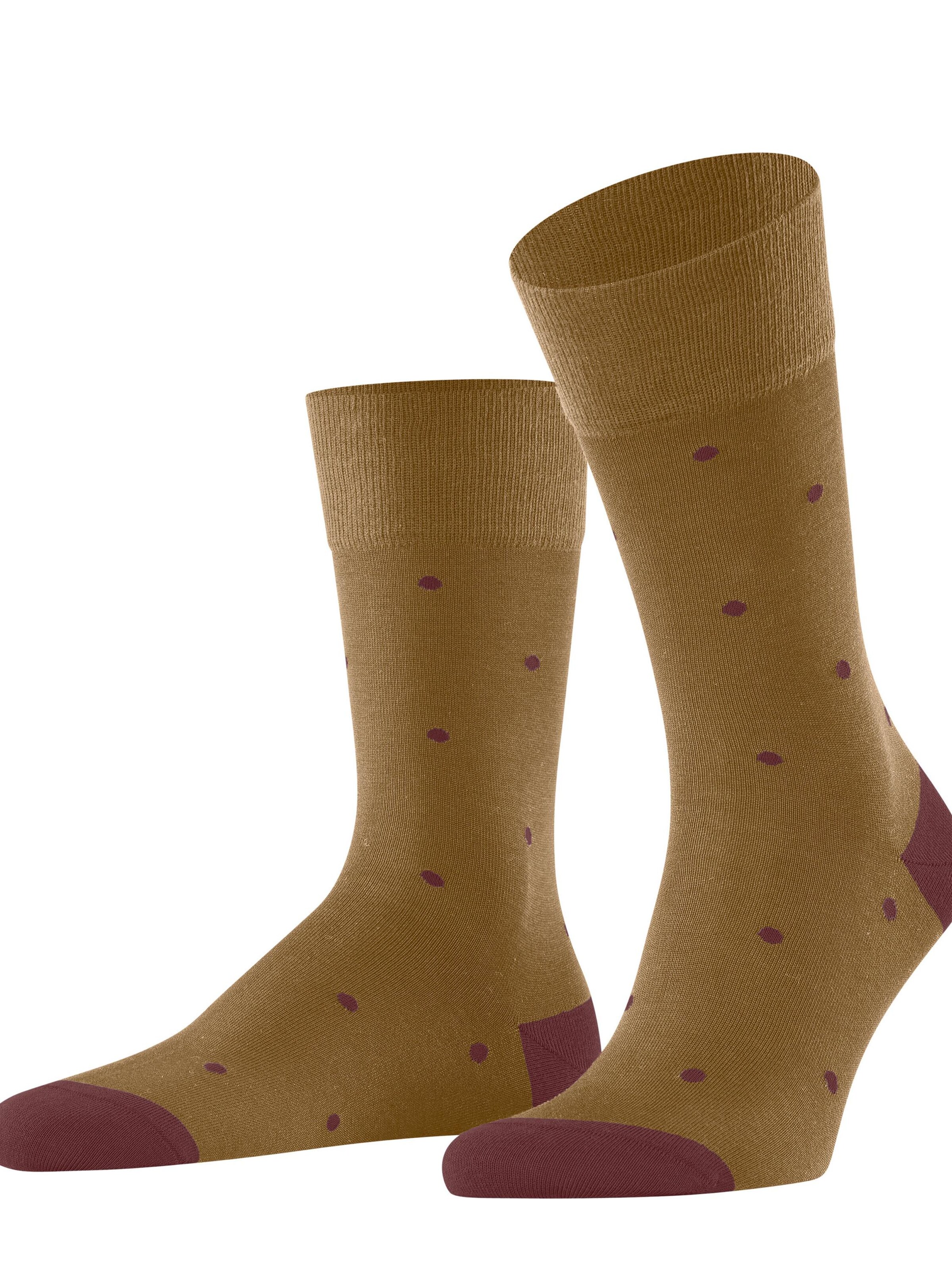 FALKE Socks 'Dot' in Brown: front