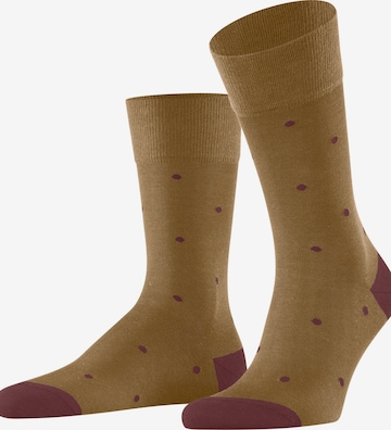 FALKE Socks 'Dot' in Brown: front
