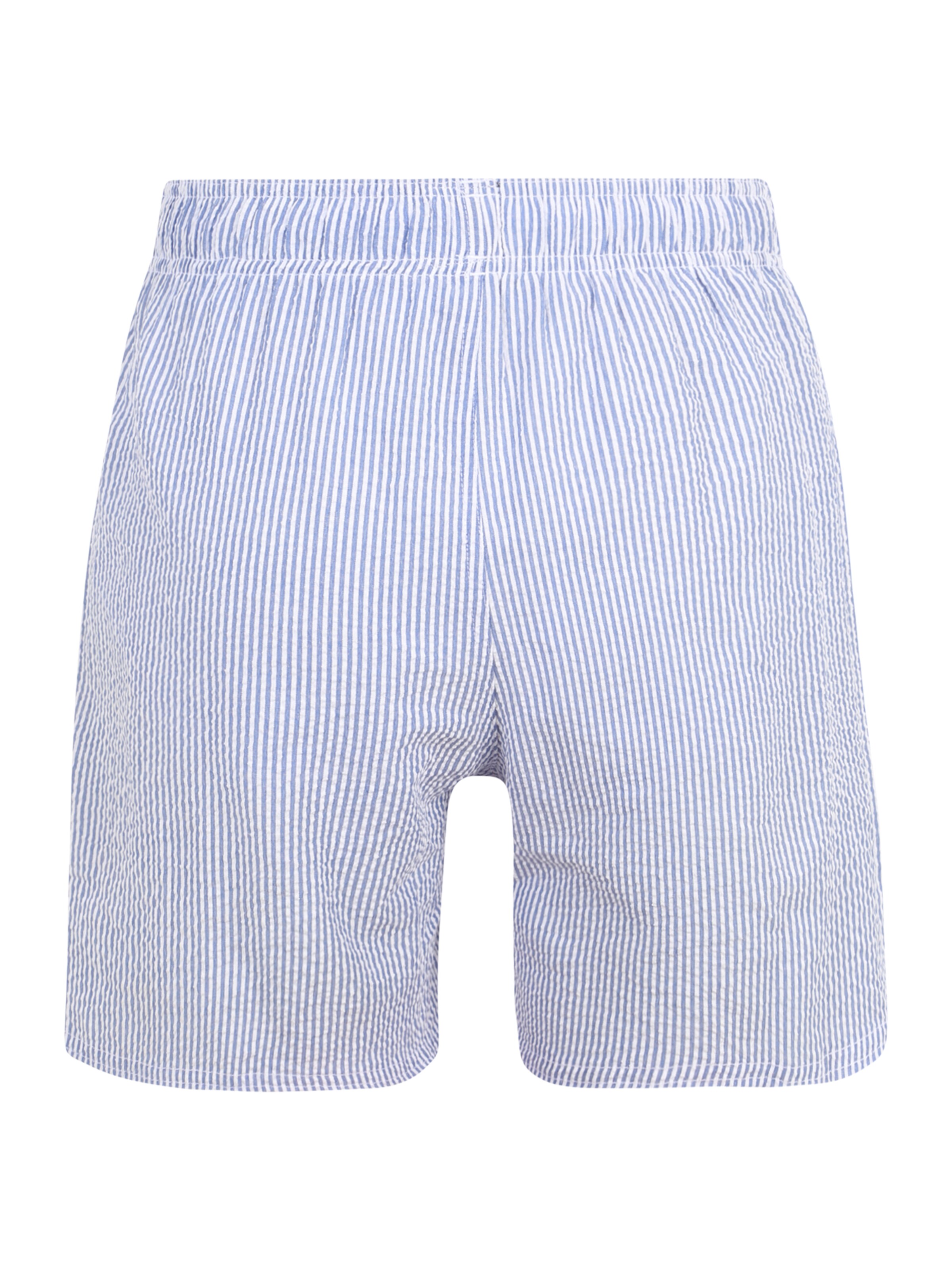 jbs Zwemshorts in Blauw