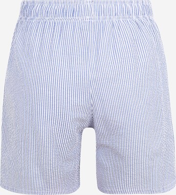 jbs Badeshorts in Blau