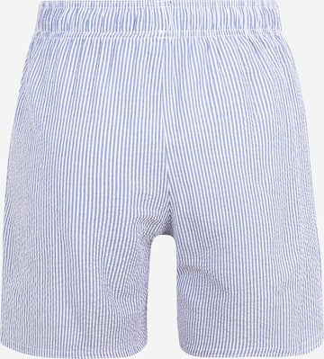 jbs Badeshorts in Blau