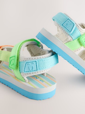 Chaussures ouvertes Next en mélange de couleurs
