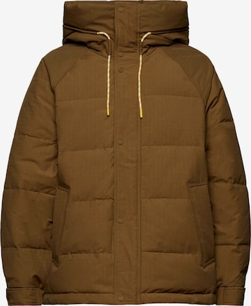 ESPRIT Winter Jacket in Brown: front