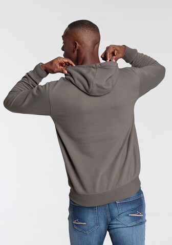 DELMAO Sweatshirt in Grau