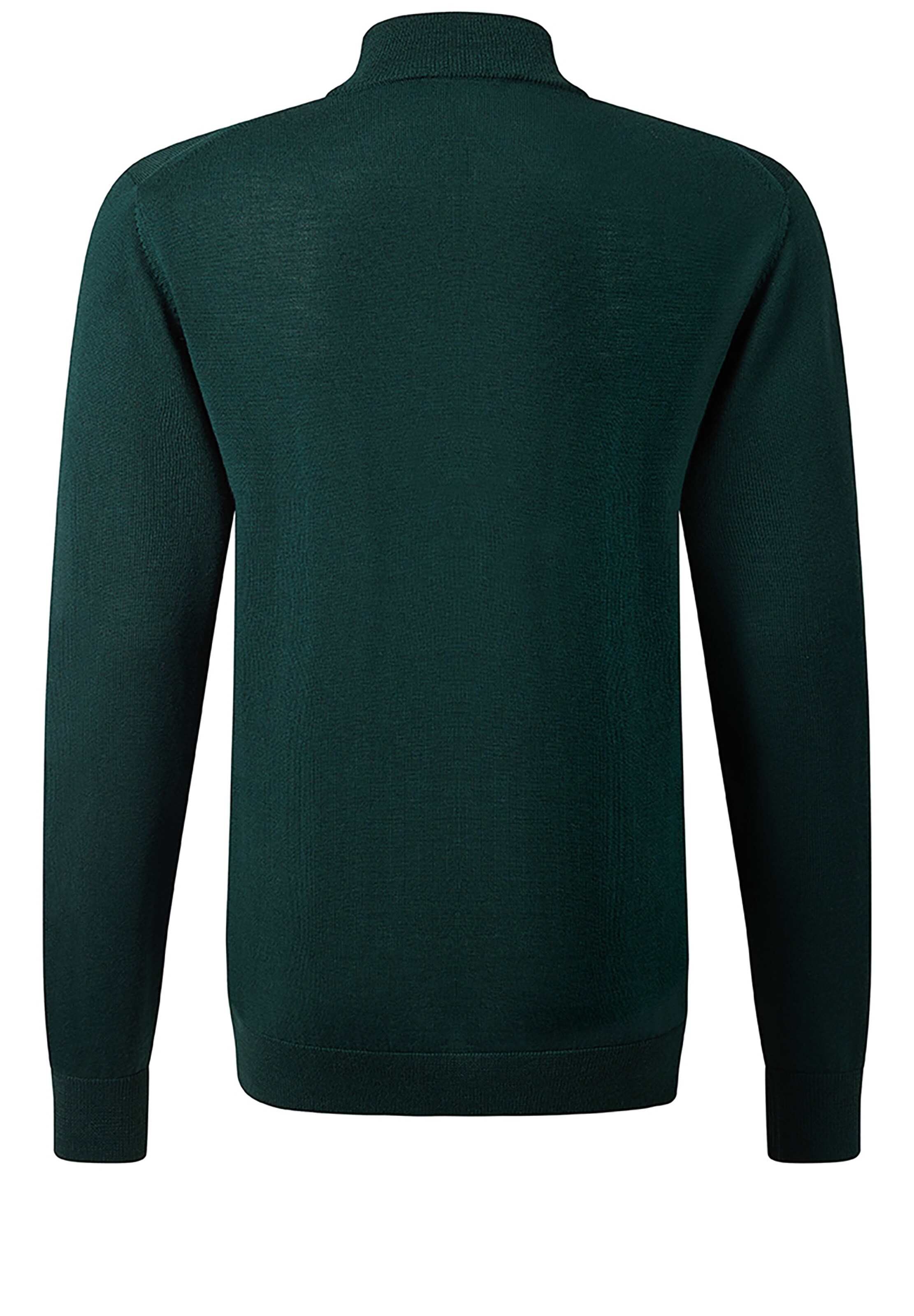 Baldessarini Pullover 'Romo-01' in Grün