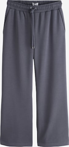 Wide Leg Pantalon 'N. Premium' Next en gris : devant