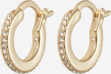 COACH Earrings 'Huggie' in Gold: front