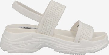 Sandales à lanières STEVE MADDEN en blanc