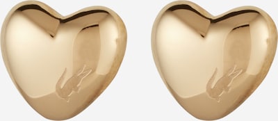 LACOSTE Ohrringe in gold, Produktansicht