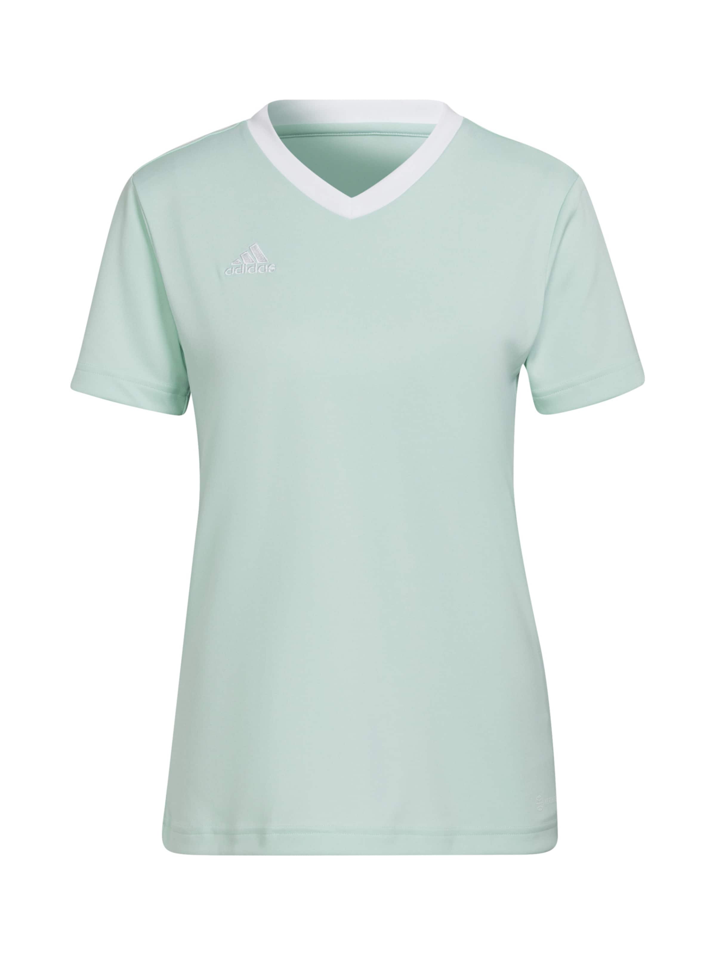 ADIDAS PERFORMANCE Trikot 'Entrada 22' in Grün: Vorderseite