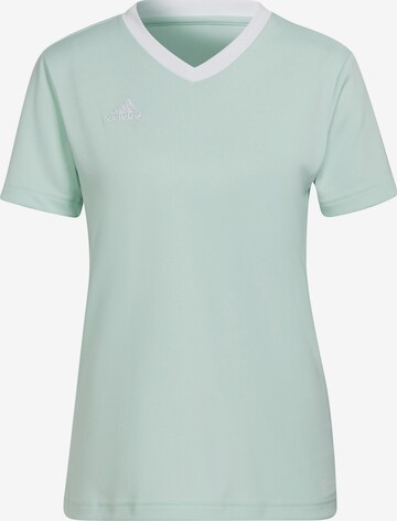 ADIDAS SPORTSWEAR Jersey 'Entrada 22' in Green: front