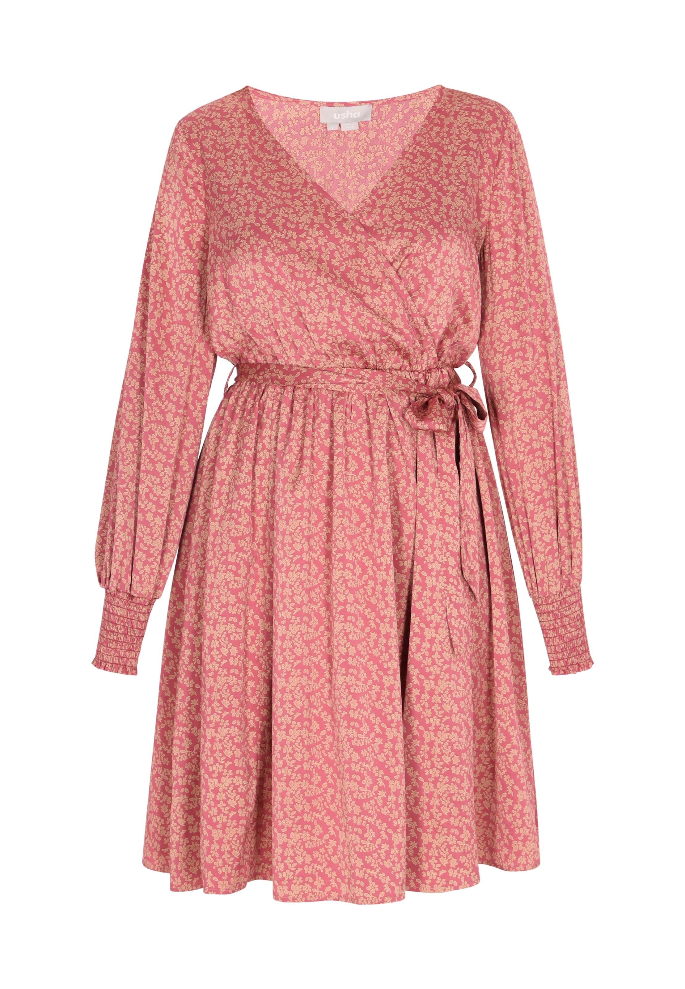 Usha Φόρεμα σε ροζ: μπροστά