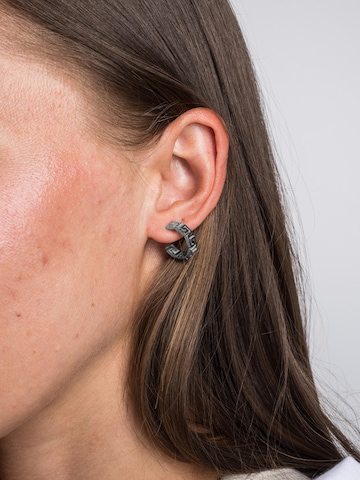Akitsune Earrings 'Argius' in Silver