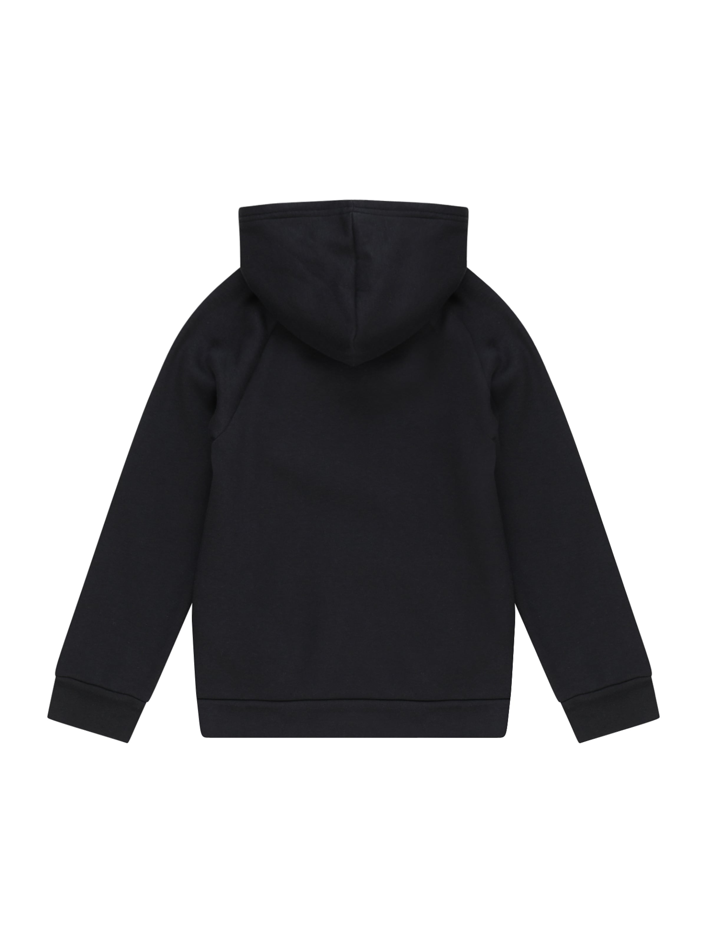 UNDER ARMOUR Спортивный свитшот 'Rival' в Черный