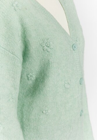 Usha Sweater in Green