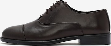 Derimod Schnürschuh in Braun: Vorderseite