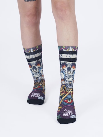 American Socks - Calcetines 'Moshpit' en lila