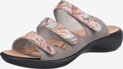 Westland Pantolette 'Ibiza' in greige / mischfarben, Produktansicht