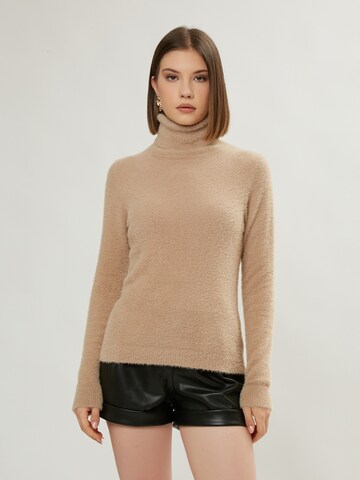 Influencer Sweater in Beige: front