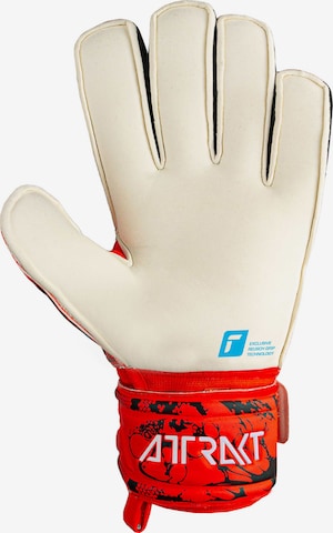 REUSCH Athletic Gloves 'Attrakt Grip Finger Support' in Red