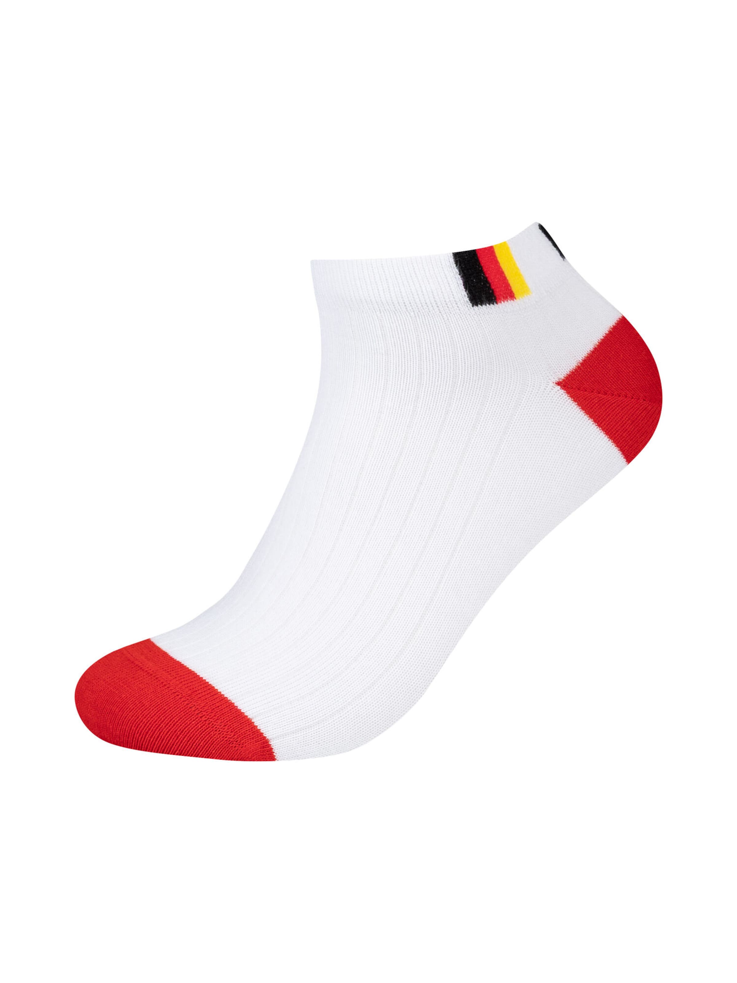 camano Füßlinge in Mischfarben