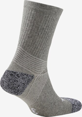 PUMA Sportsocken 'Team Liga' in Grau